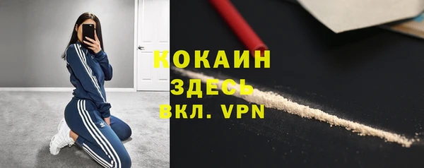 трава Арсеньев