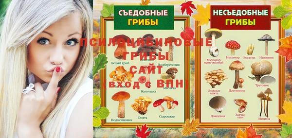 трава Арсеньев