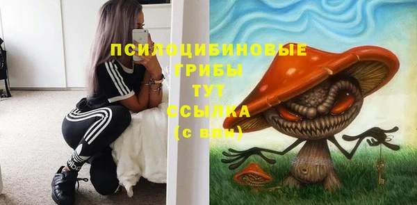 трава Арсеньев