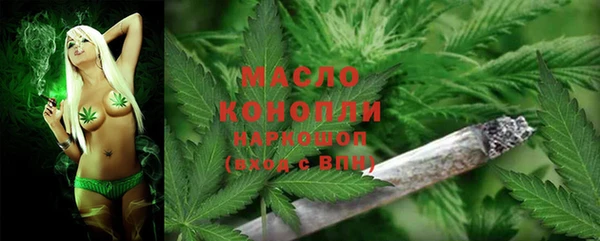 PSILOCYBIN Аркадак
