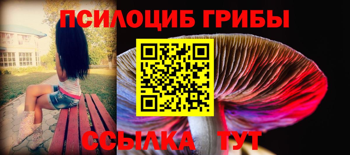 Псилоцибиновые грибы прущие грибы  Вход с VPN  Бийск  Галлюциногенные грибы Psilocybine cubensis 