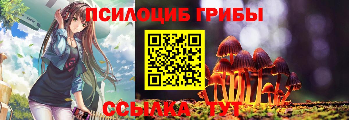 Галлюциногенные грибы прущие грибы Бийск
