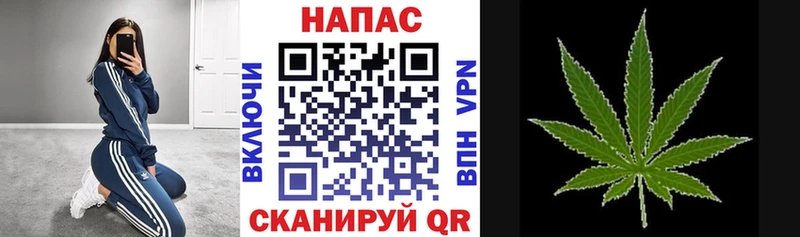 Конопля семена  Бийск 